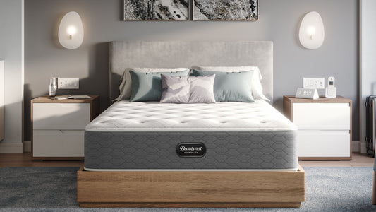 Beautyrest® Chadfield™ Plush